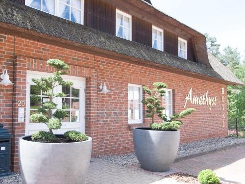 Imagen general del Hotel Amethyst L&uuml;neburg. Foto 4