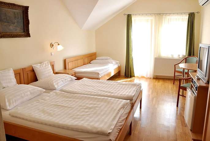 Imagen de la habitación del Hotel Ametiszt Harkany. Foto 6