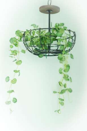 Imagen general del Hotel Amibao Resort. Foto 11