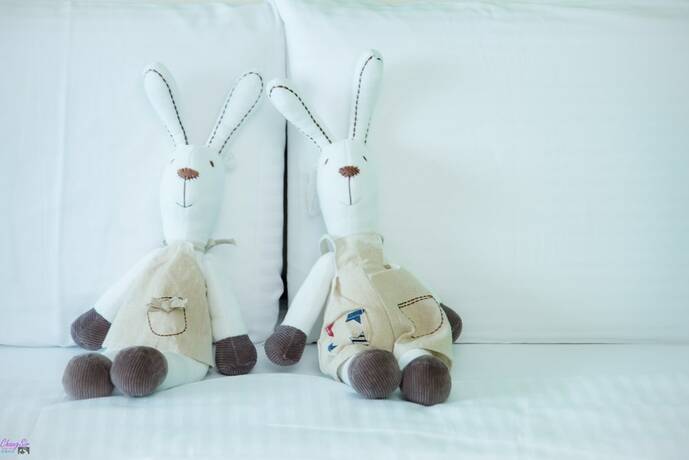 Imagen de la habitación del Hotel Amibao Resort. Foto 27