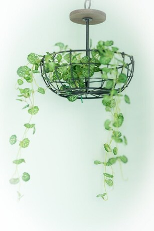 Imagen de la habitación del Hotel Amibao Resort. Foto 35