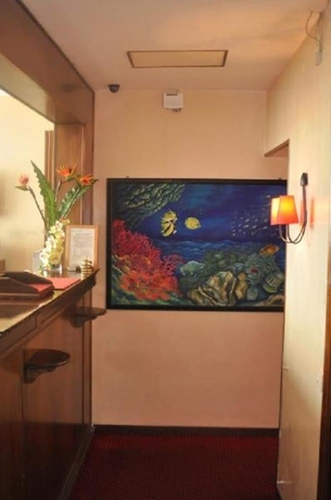 Imagen general del Hotel Amico. Foto 5