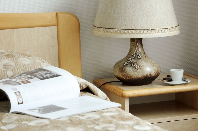 Imagen de la habitación del Hotel Amicus. Foto 8