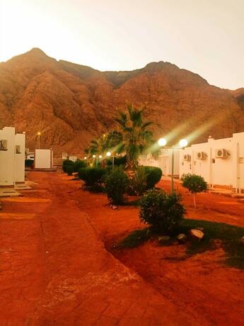 Imagen general del Hotel Amigo Dahab. Foto 3