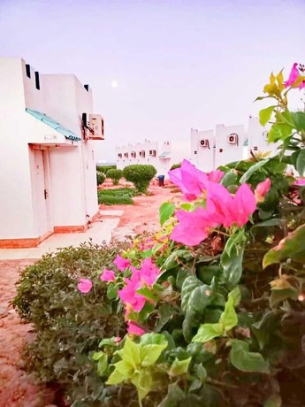 Imagen general del Hotel Amigo Dahab. Foto 16