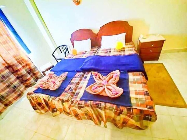 Imagen de la habitación del Hotel Amigo Dahab. Foto 20