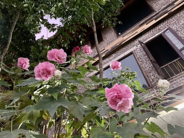 Imagen general del Hotel Amigo Pu Luong. Foto 9