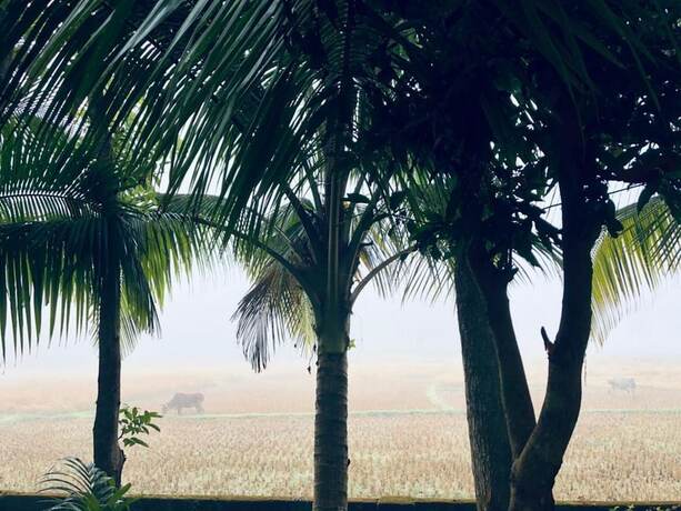 Imagen general del Hotel Aminvilla Resort. Foto 5