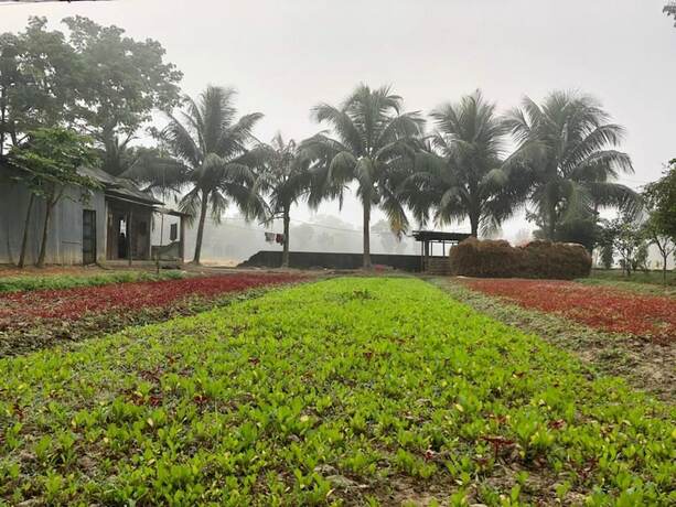 Imagen general del Hotel Aminvilla Resort. Foto 12