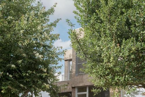 Imagen general del Hotel Amiuka. Foto 1