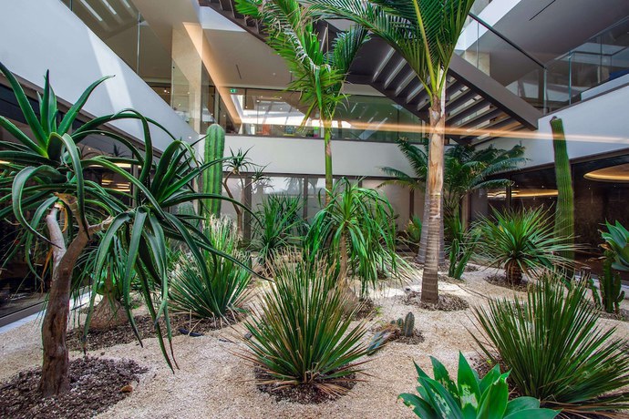 Imagen de los interiores del Hotel Ammoa Luxury and Spa Resort. Foto 16