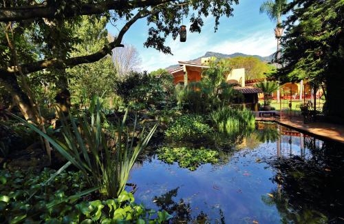 Imagen general del Hotel Amomoxtli. Foto 3