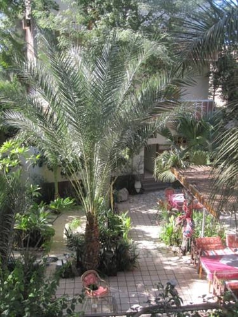 Imagen general del Hotel Amon. Foto 3