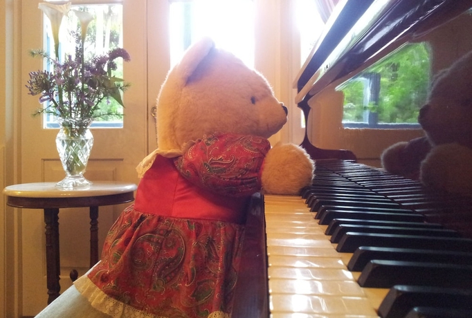 Imagen de los interiores del Hotel Amore Mt Tamborine. Foto 19