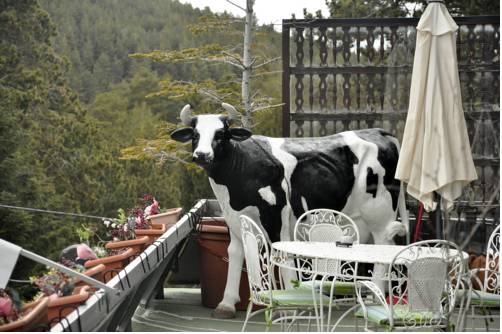 Imagen general del Hotel Amoretes. Foto 5