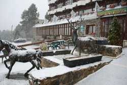 Imagen de los exteriores del Hotel Amoretes. Foto 19