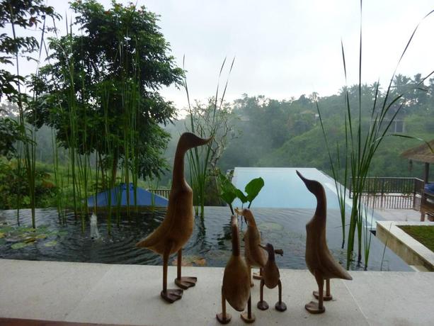 Imagen general del Hotel Amori Villas. Foto 9