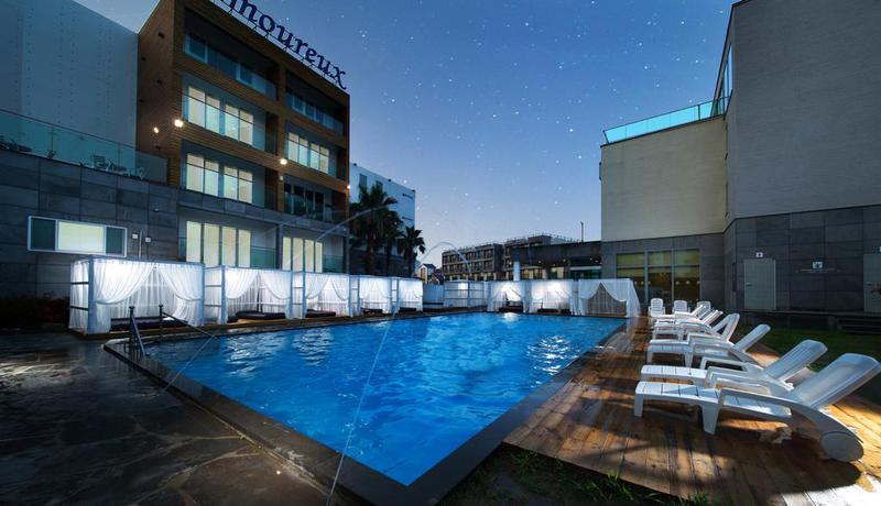 Imagen de la piscina del Hotel Amoureux. Foto 8