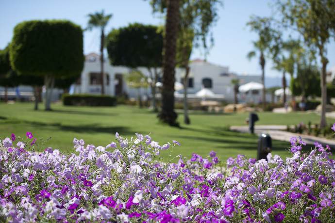 Imagen de la habitación del Hotel Amphoras Beach. Foto 9
