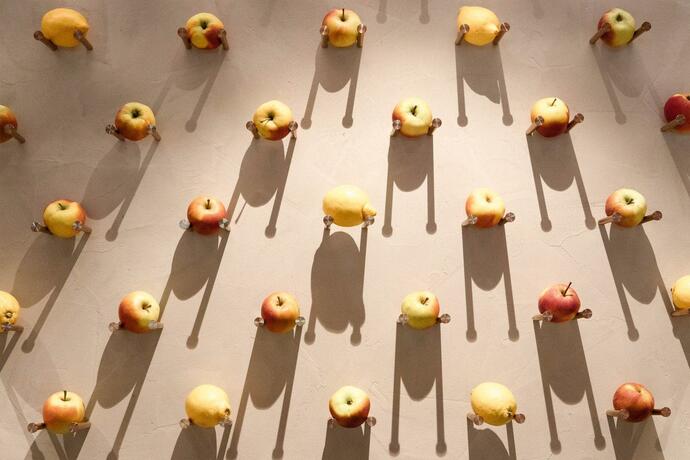 Imagen general del Hotel Amrai Suites. Foto 116