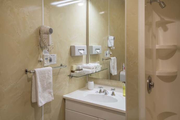 Imagen de la habitación del Hotel Amross Court Motor Lodge. Foto 8