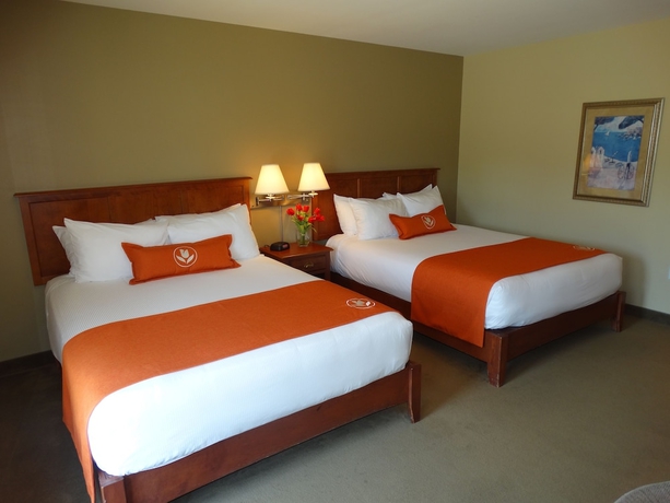 Imagen de la habitación del Hotel Amsterdam Inn and Suites Moncton. Foto 4