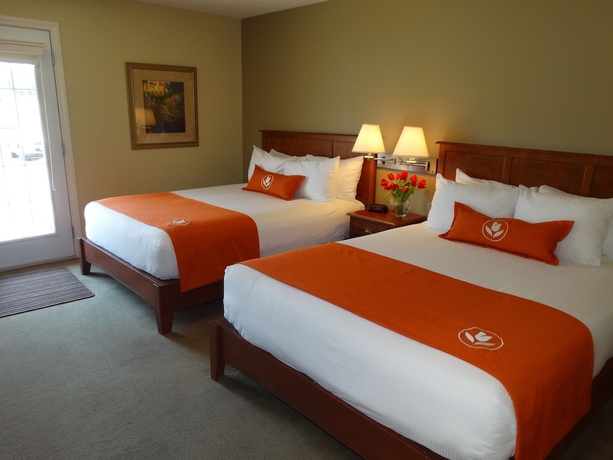 Imagen de la habitación del Hotel Amsterdam Inn and Suites Moncton. Foto 9