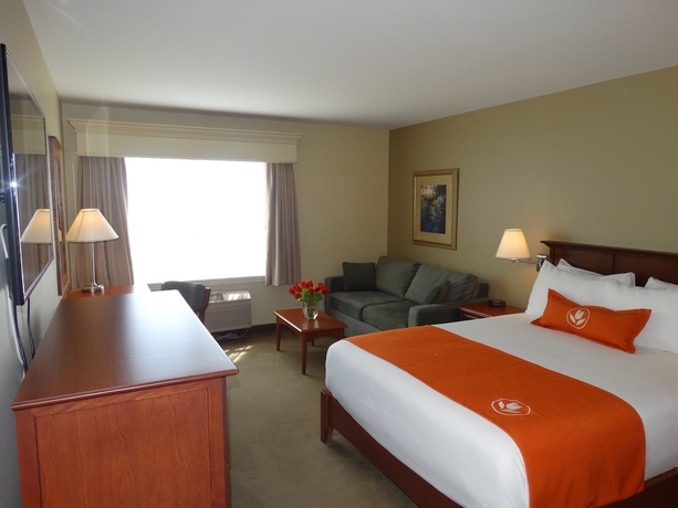 Imagen de la habitación del Hotel Amsterdam Inn and Suites Moncton. Foto 13