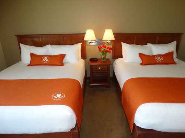 Imagen de la habitación del Hotel Amsterdam Inn and Suites Moncton. Foto 17