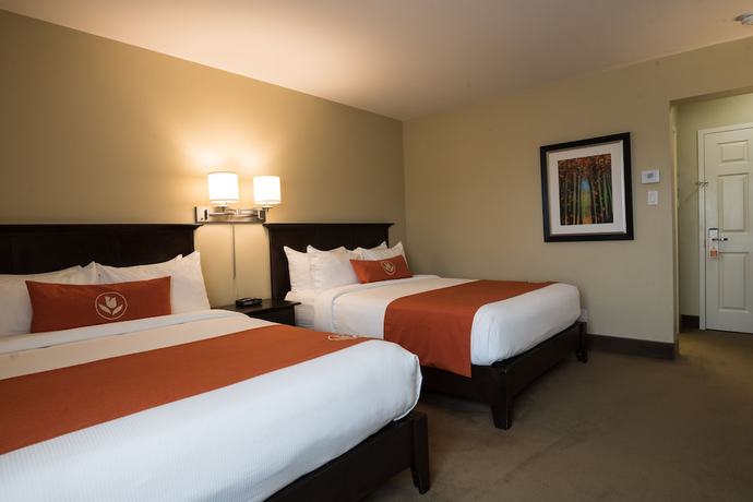 Imagen de la habitación del Hotel Amsterdam Inn and Suites Sussex. Foto 12