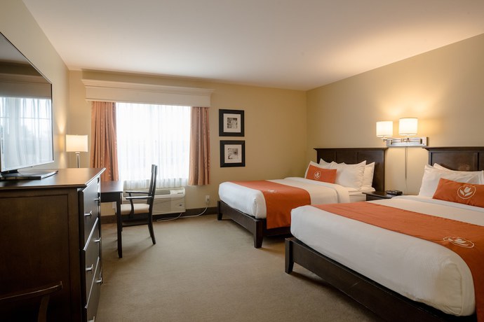 Imagen de la habitación del Hotel Amsterdam Inn and Suites Sussex. Foto 13