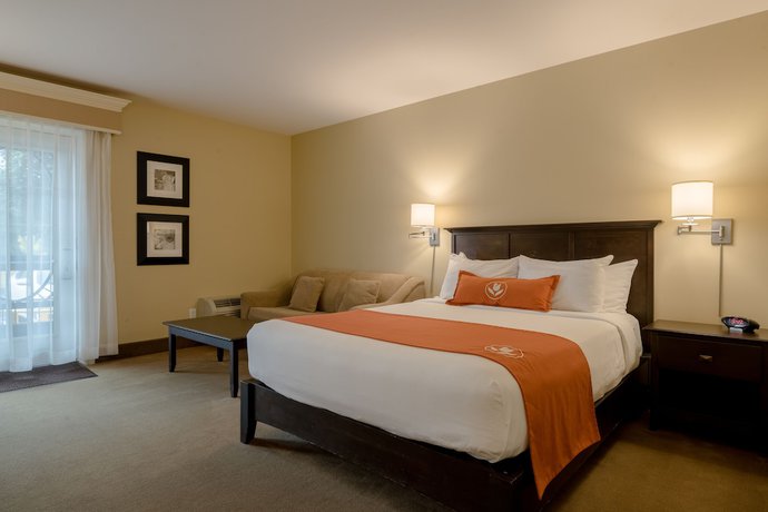 Imagen de la habitación del Hotel Amsterdam Inn and Suites Sussex. Foto 14
