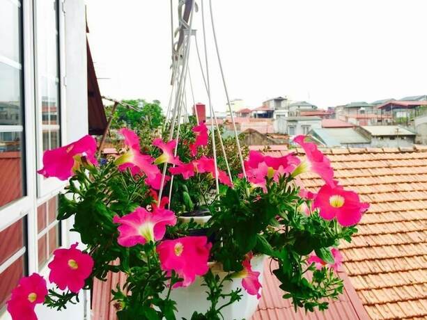 Imagen general del Hotel An Family Homestay. Foto 4