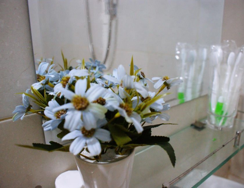 Imagen general del Hotel An Nhien, Buon Ma Thuot. Foto 19