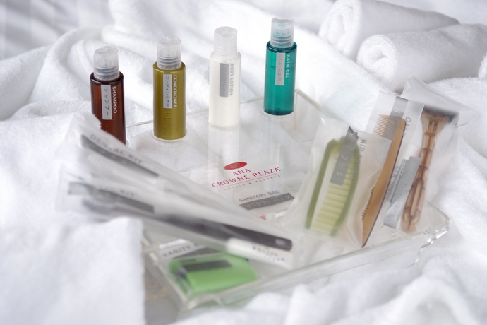 Imagen de la habitación del Hotel Ana Crowne Plaza Chitose, An Ihg. Foto 4