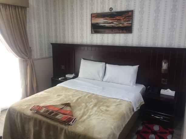 Imagen de la habitación del Hotel Ana Palace. Foto 11