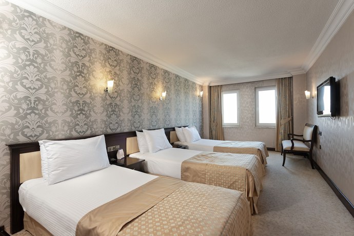 Imagen de la habitación del Hotel Anadolu Esenboga Termal. Foto 5