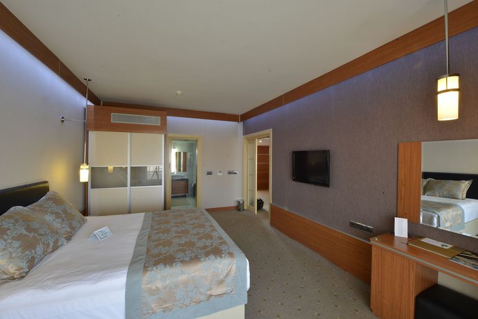 Imagen de la habitación del Hotel Anadolu Esenboga Termal. Foto 10
