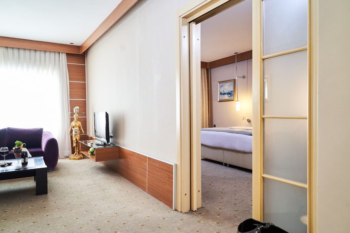 Imagen de la habitación del Hotel Anadolu Esenboga Termal. Foto 14