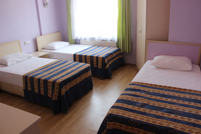 Imagen de la habitación del Hotel Anadolu. Foto 8