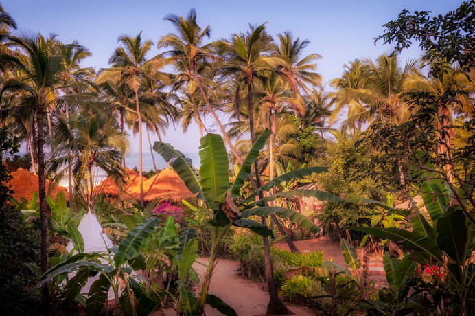 Imagen de la habitación del Hotel Anahata Retreat. Foto 5