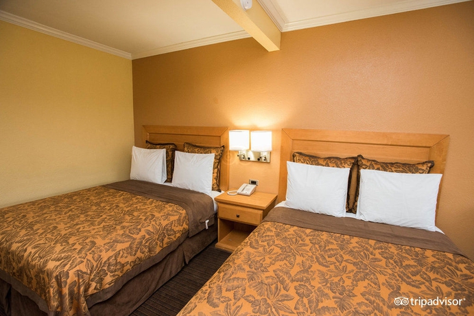 Imagen de la habitación del Hotel Anaheim Islander Inn and Suites. Foto 6