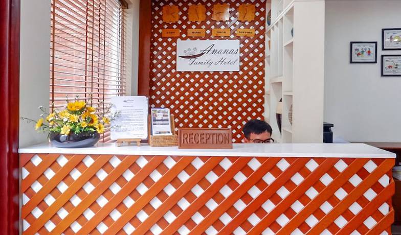 Imagen de los interiores del Hotel Ananas Family. Foto 20