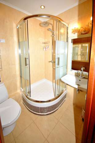 Imagen de la habitación del Hotel Ananas, Mosc&uacute;. Foto 6
