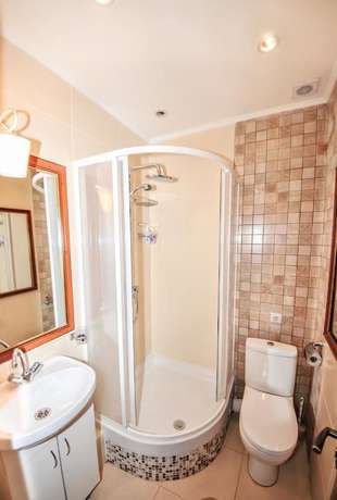 Imagen de la habitación del Hotel Ananas, Mosc&uacute;. Foto 8