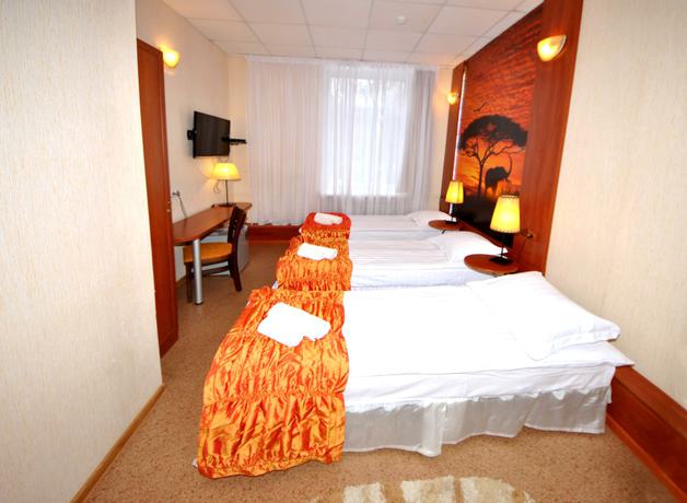 Imagen de la habitación del Hotel Ananas, Mosc&uacute;. Foto 9