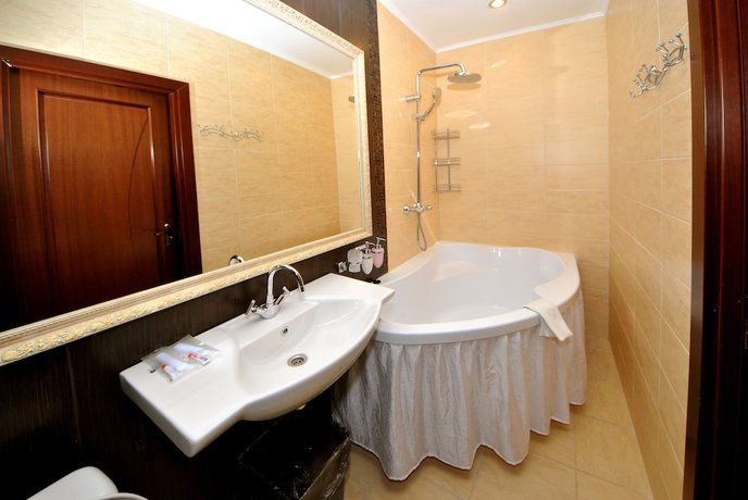Imagen de la habitación del Hotel Ananas, Mosc&uacute;. Foto 11