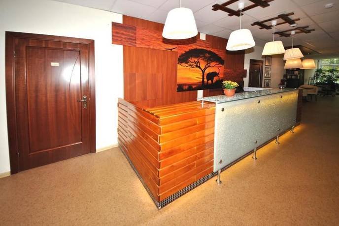 Imagen de los interiores del Hotel Ananas, Mosc&uacute;. Foto 19