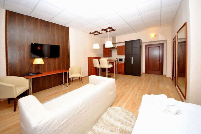 Imagen de la habitación del Hotel Ananas, Mosc&uacute;. Foto 14