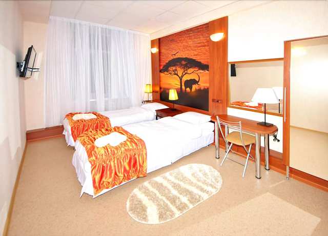 Imagen de la habitación del Hotel Ananas, Mosc&uacute;. Foto 16